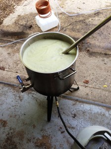 The boil (after hops)